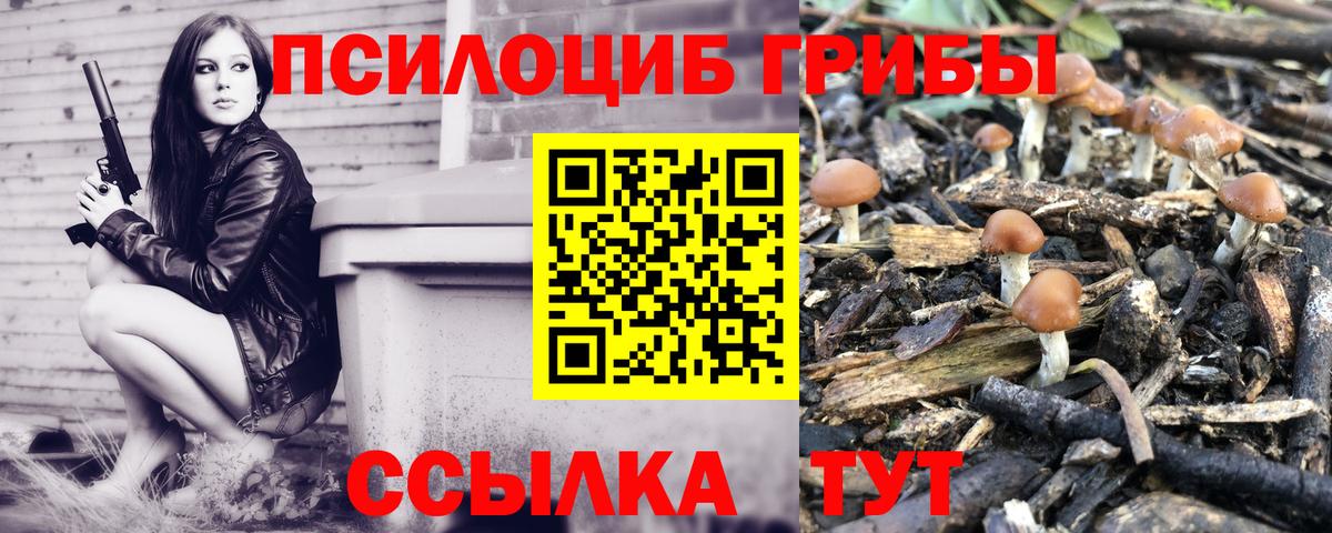 Псилоцибиновые грибы MAGIC MUSHROOMS  Вход с VPN  Оренбург 
